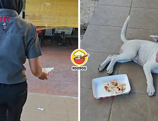 KFC Leftover Dog Ft Img