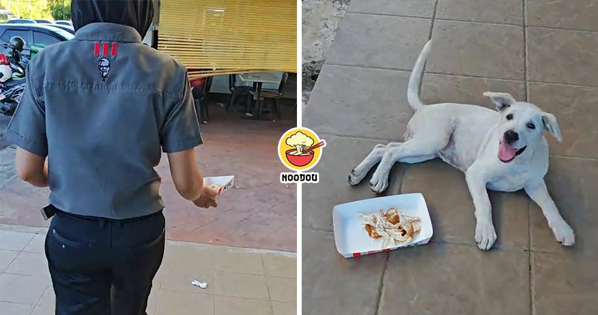KFC Leftover Dog Ft Img