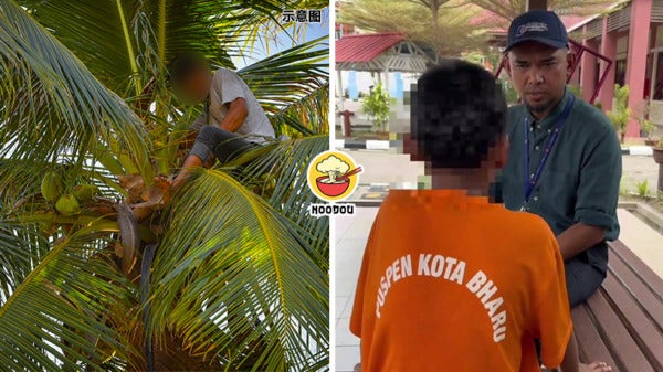 Teen Drg Panjat Pokok Ft Img