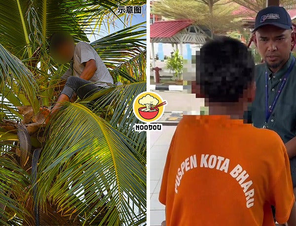 Teen Drg Panjat Pokok Ft Img