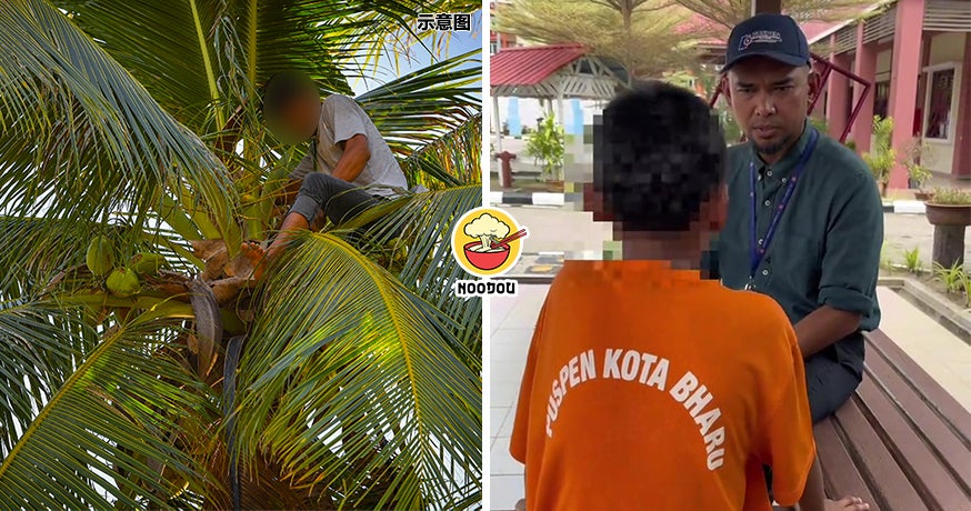 Teen Drg Panjat Pokok Ft Img