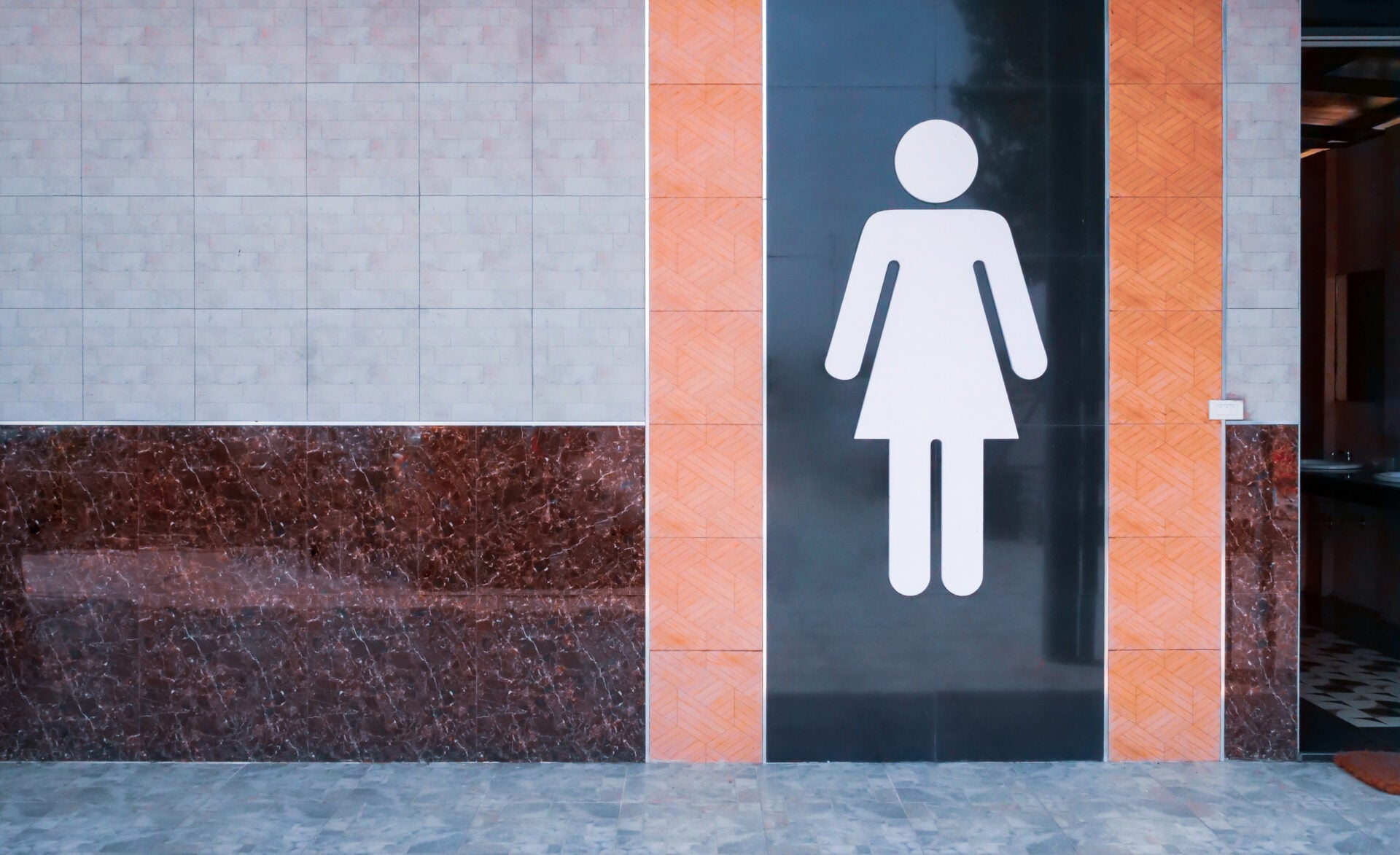 public toilet woman 123rf 1