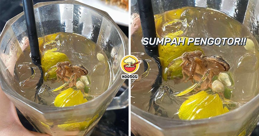 Asam Boi Frog Ft Img