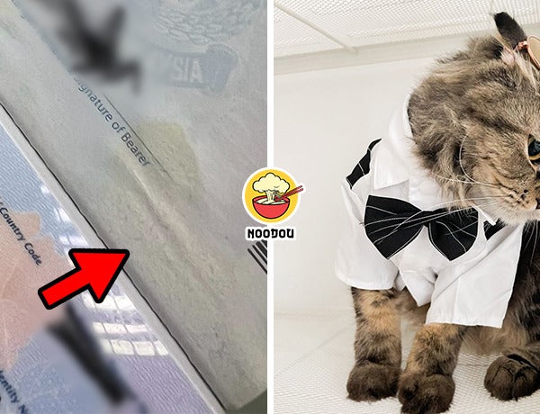 Cat Pee Passport Ft Img