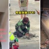 Thai Grab Rider CPR Cat Ft Img