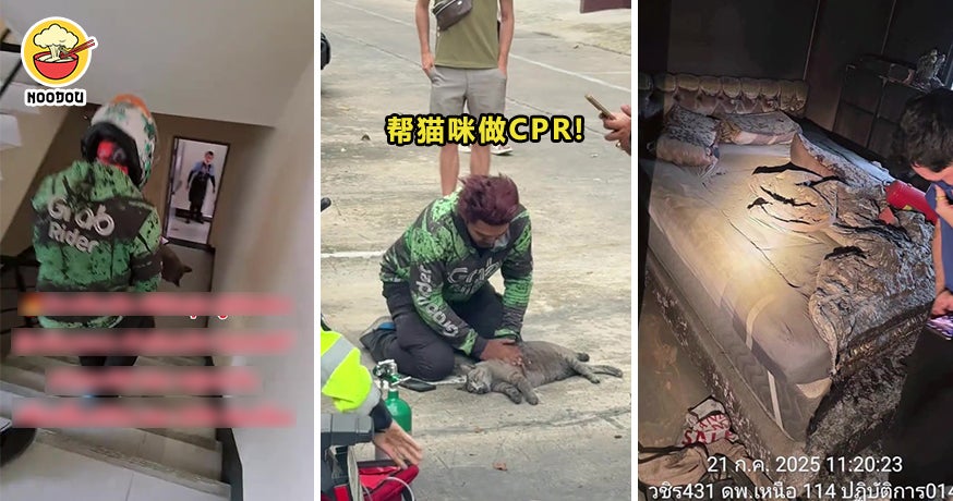 Thai Grab Rider CPR Cat Ft Img