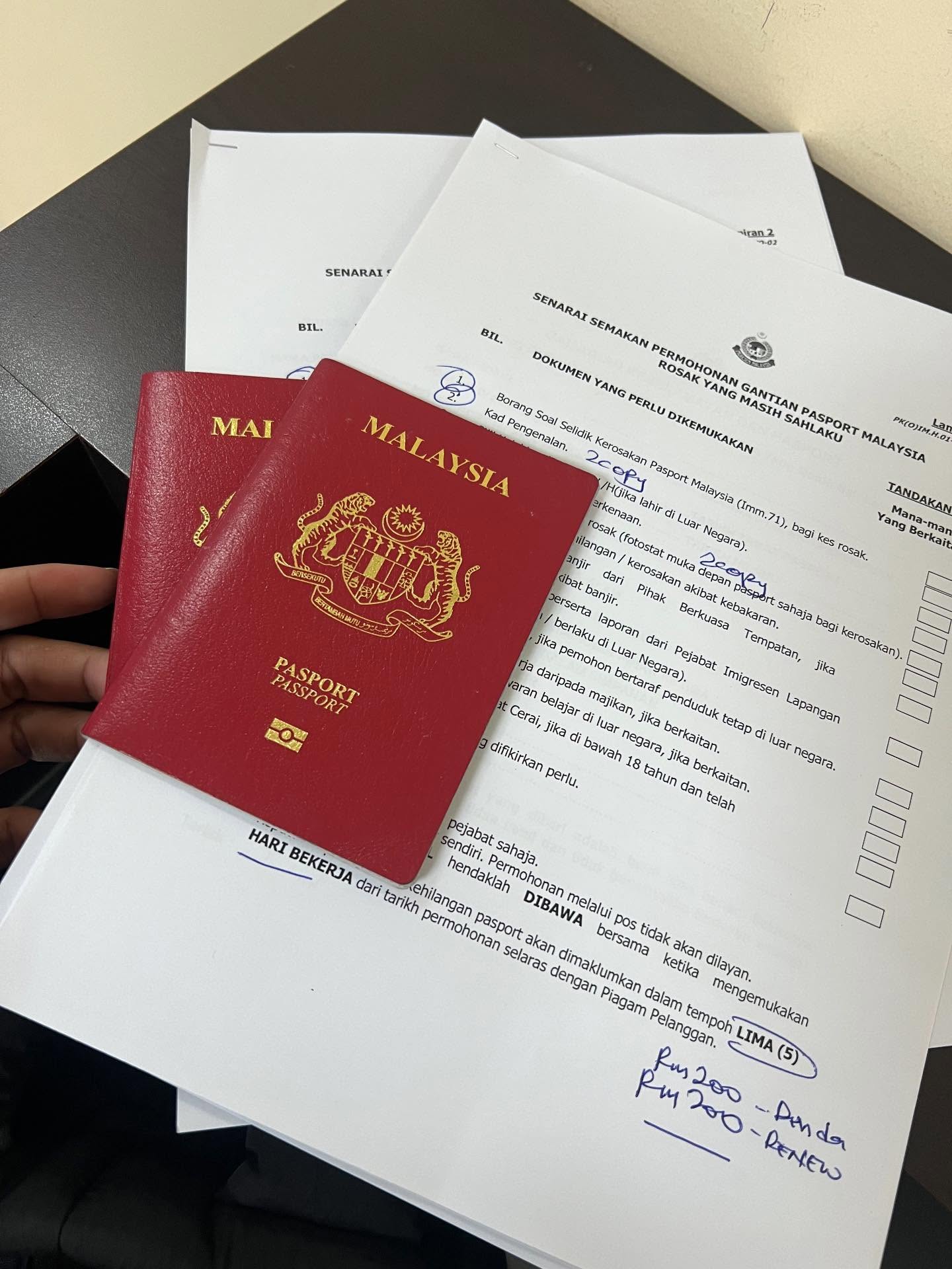 cat peed on passport rm400 change 2