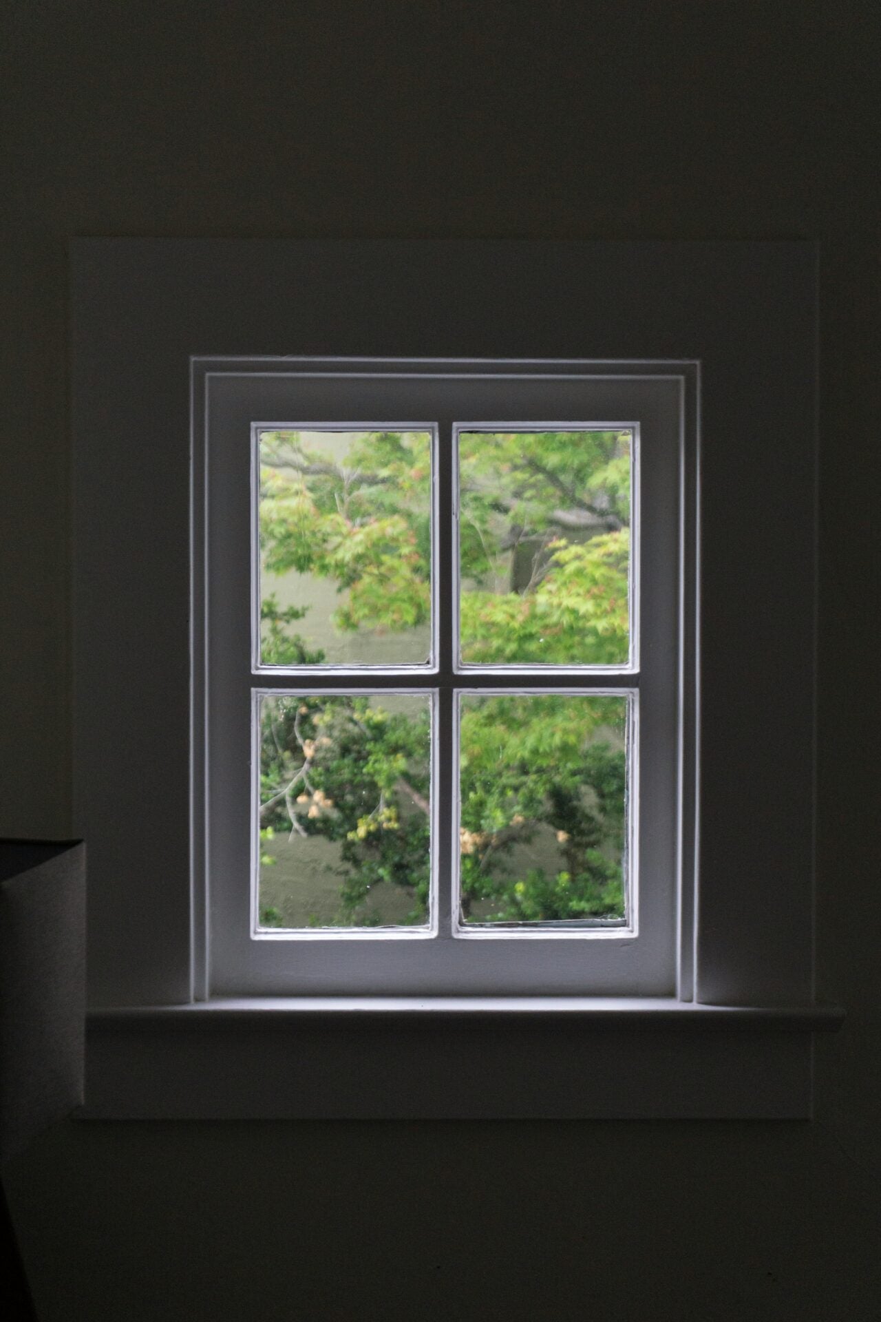 nicolas solerieu window unsplash
