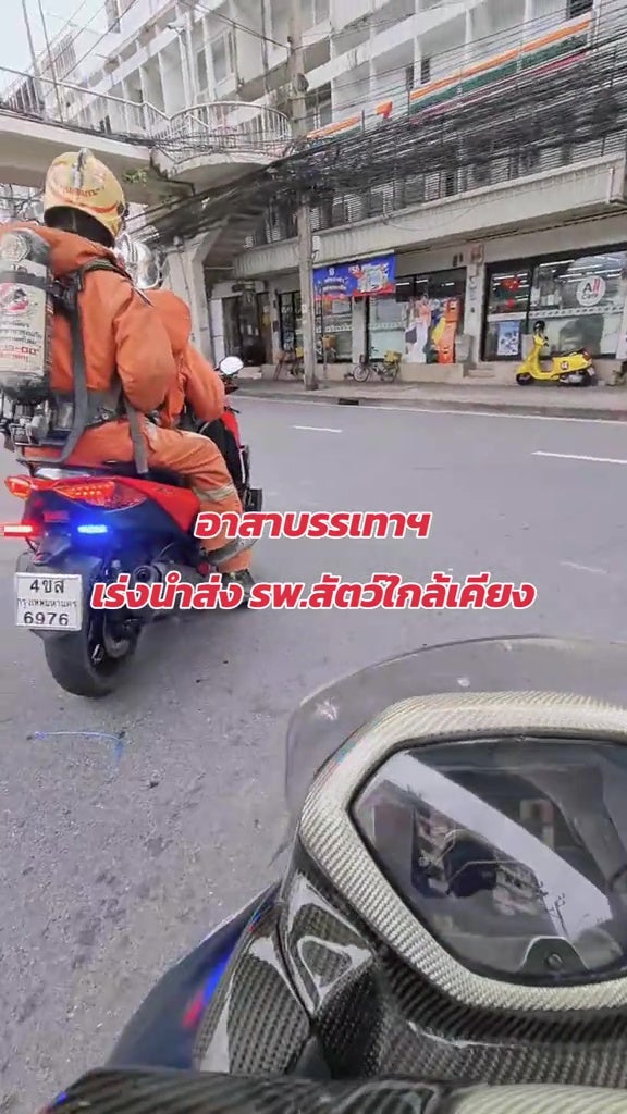 送餐员骑士冲进火灾公寓救猫CPR 11