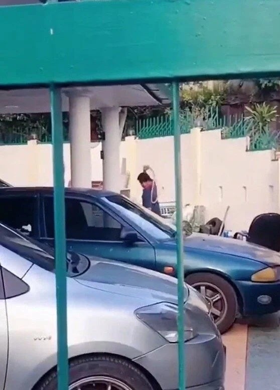 邱文杰认罪殴打宠物狗1