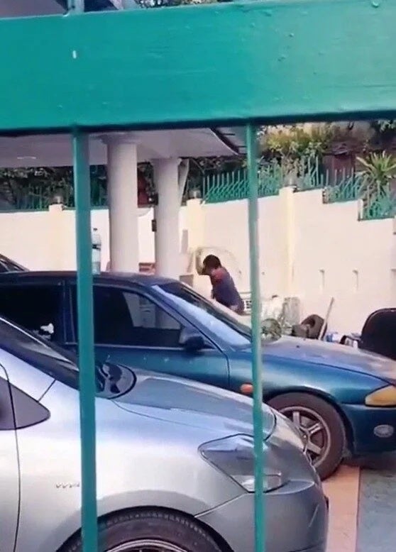 邱文杰认罪殴打宠物狗2