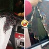 Dashboard Cover Insurance Ft Img