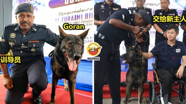 K9 Goran New Home Ft Img