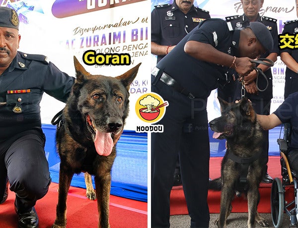 K9 Goran New Home Ft Img