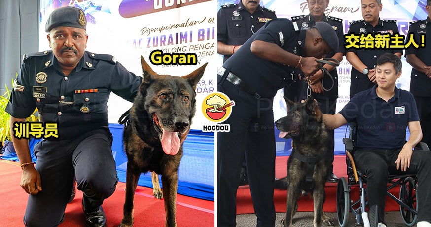 K9 Goran New Home Ft Img
