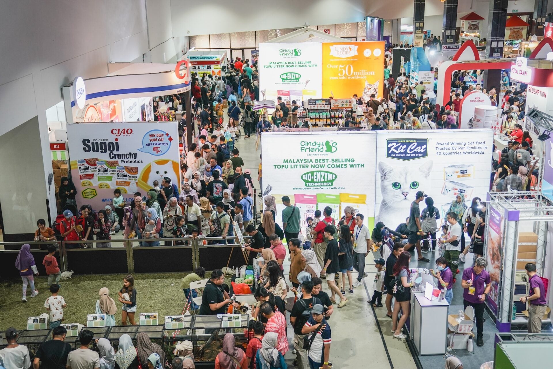 crowd