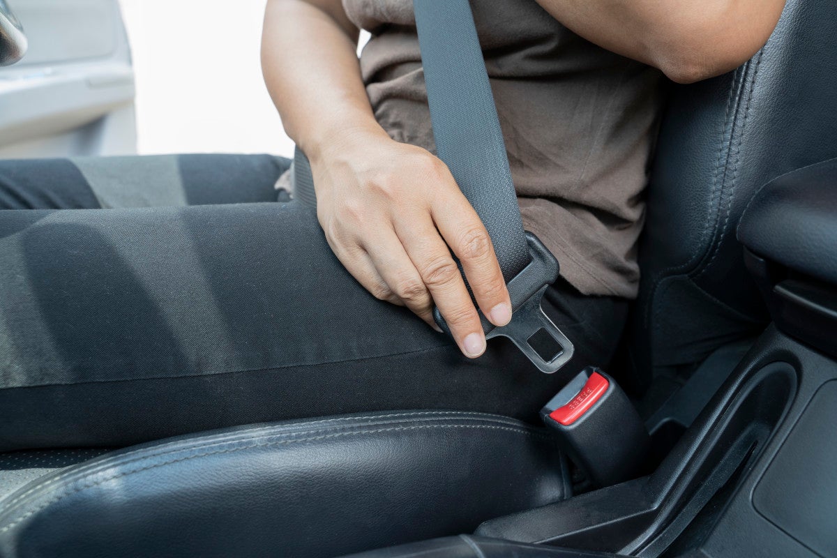 seatbelt 2