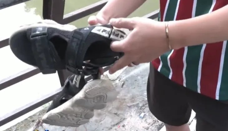 shoe
