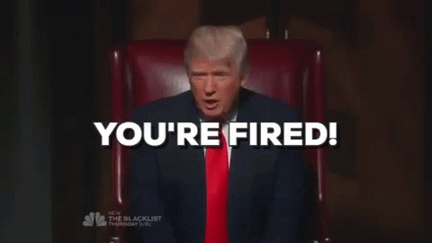 youre fired donald trump