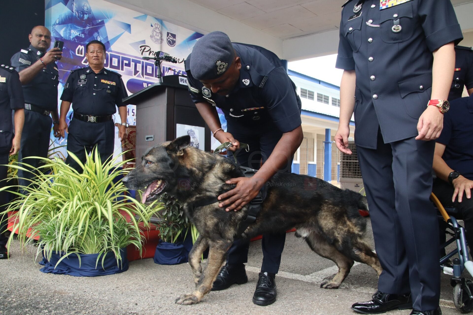 首只被领养退役k9警犬训导员分离告别仪式2