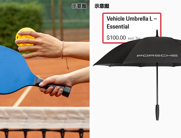 Porsche Umbrella Stolen Ft Img