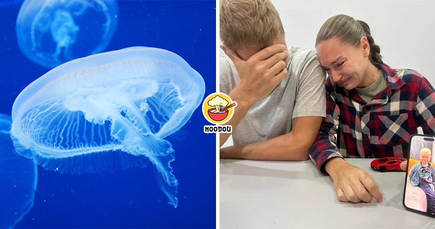 2岁俄罗斯男童在Langkawi被水母蜇伤，抢救4天后不治！父母心碎揭细节！