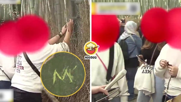 Msian Tourist Vandalise Kyoto Bamboo Ft Img