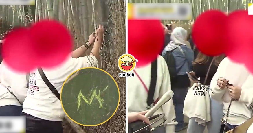 【丢脸丢到国外！】在京都岚山竹林的竹子上刻字，大马游客行为全被日媒拍下！（内附影片）