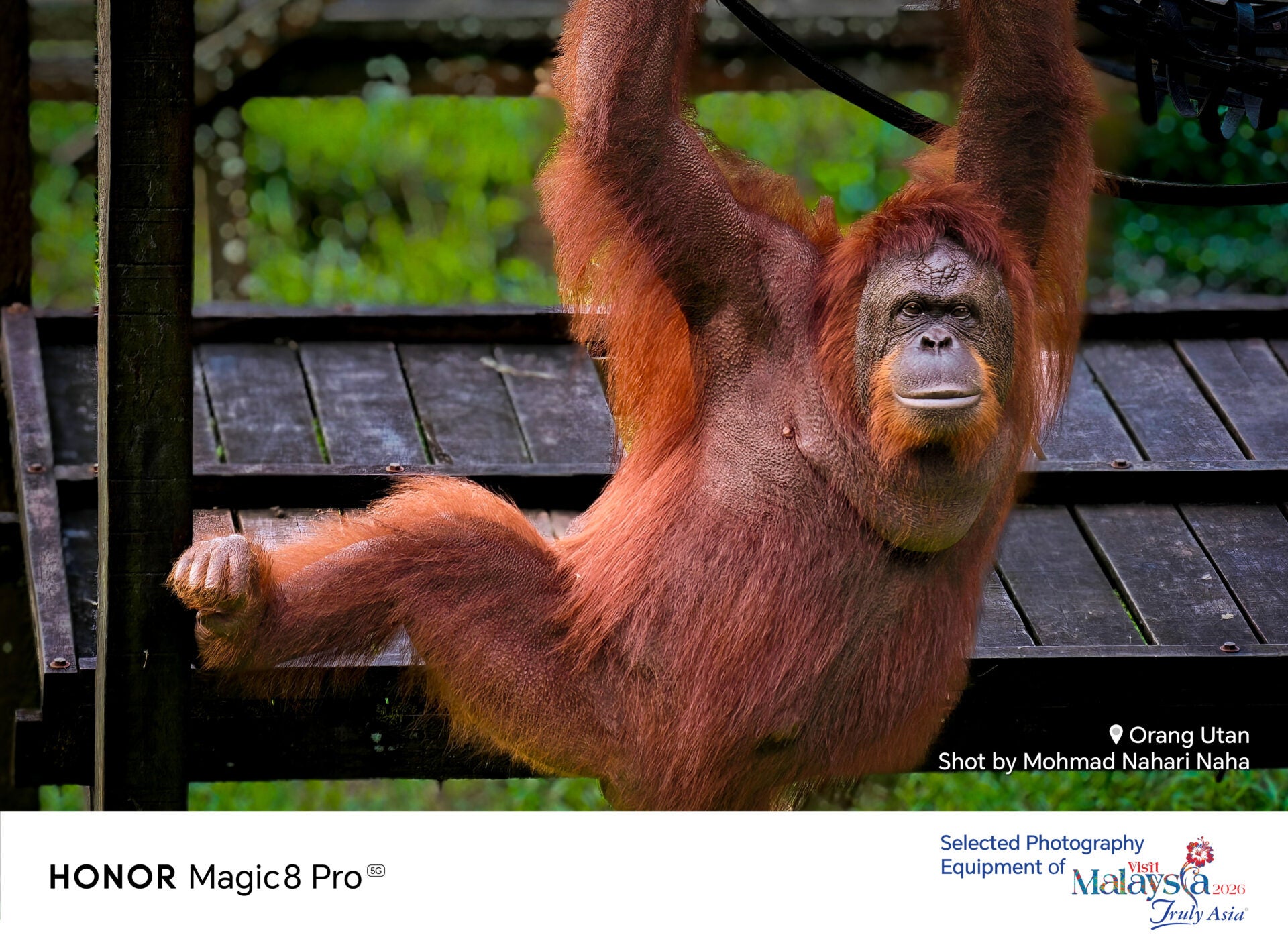 Social Template for Magic8Pro Beta Photographer copy 3 Recovered 09