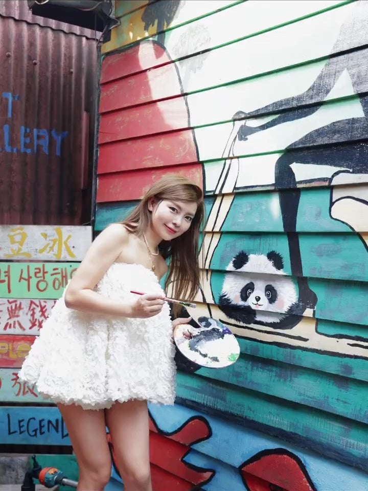 中国女子画家槟城姓周桥壁画涂鸦被阻止引炮轰真相 1