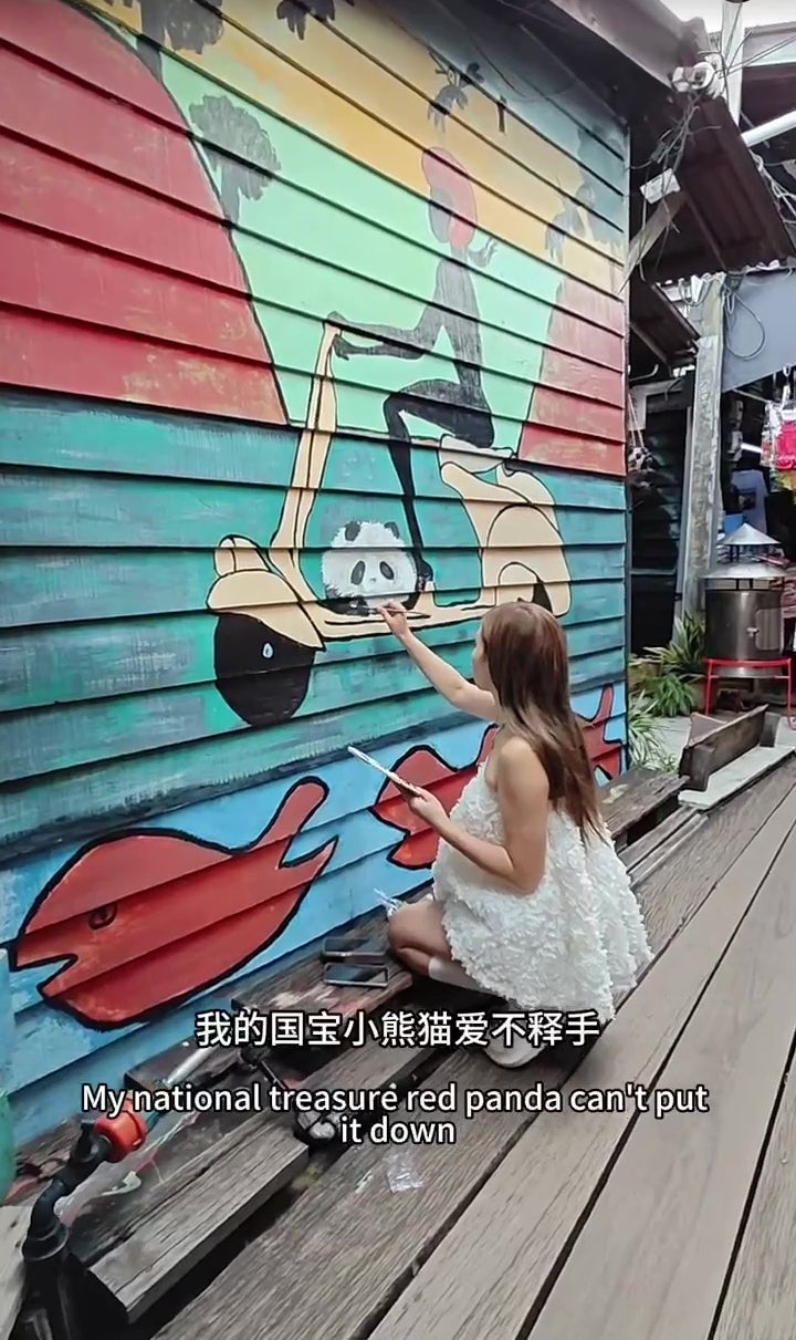 中国女子画家槟城姓周桥壁画涂鸦被阻止引炮轰真相 4