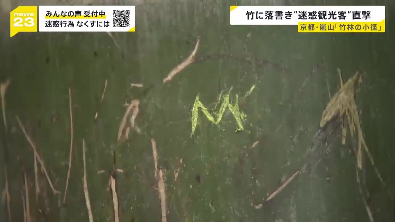大马游客日本东京岚山竹林破坏竹子刻字被日媒拍下 10