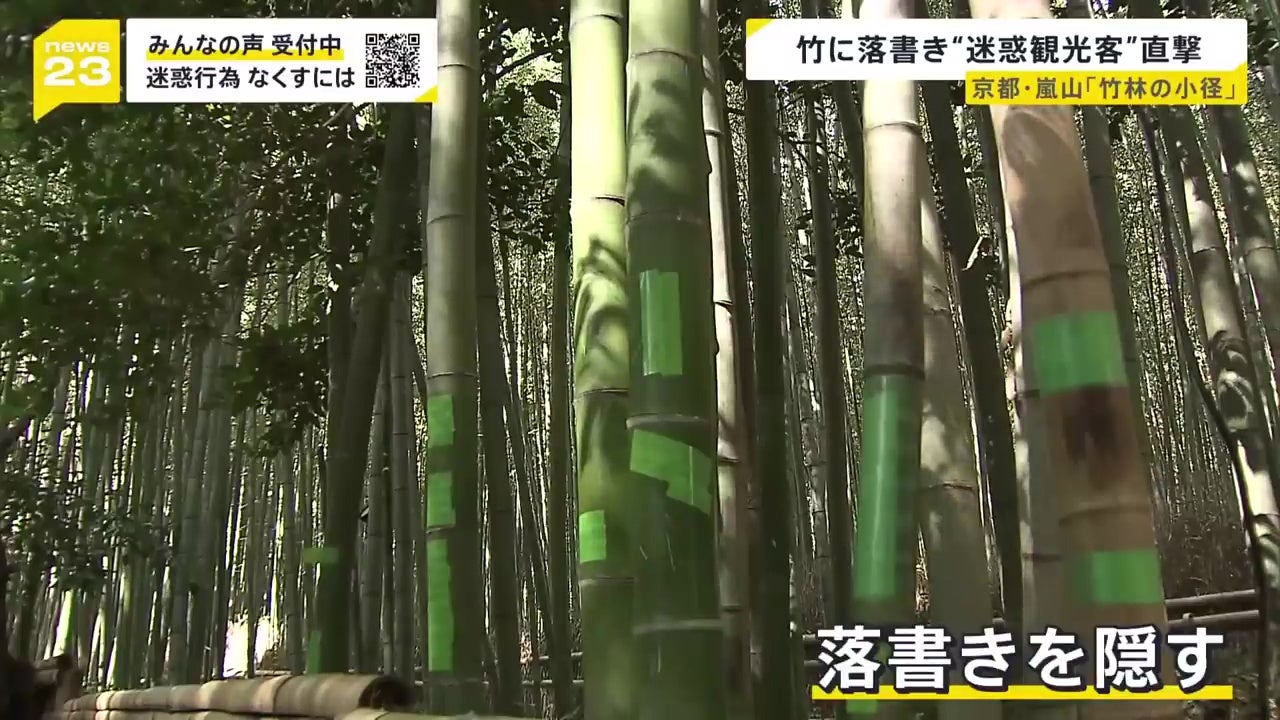 大马游客日本东京岚山竹林破坏竹子刻字被日媒拍下 3