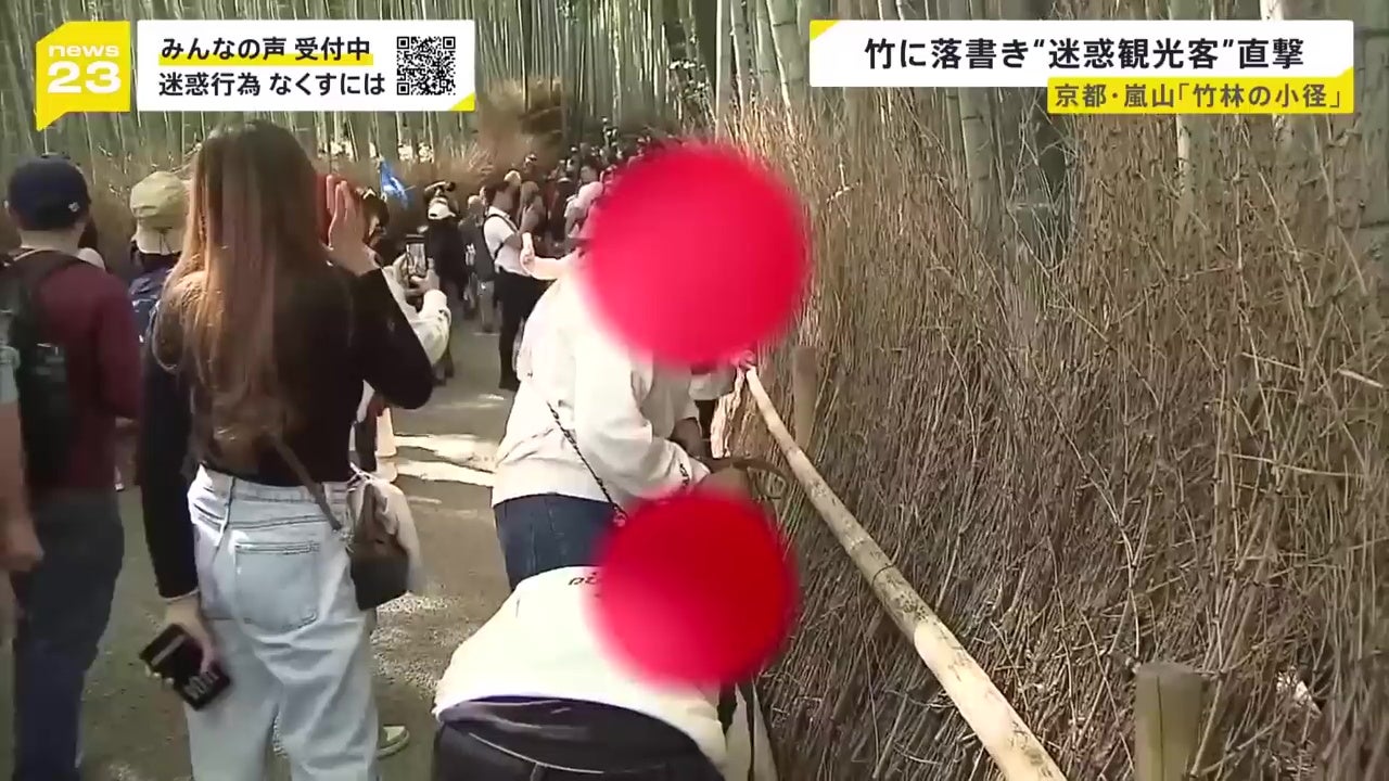大马游客日本东京岚山竹林破坏竹子刻字被日媒拍下 4