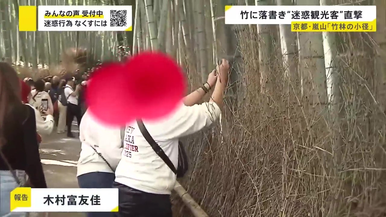 大马游客日本东京岚山竹林破坏竹子刻字被日媒拍下 5