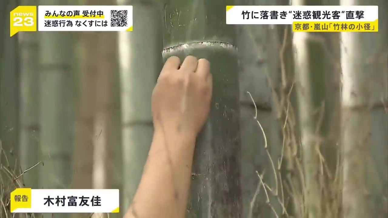 大马游客日本东京岚山竹林破坏竹子刻字被日媒拍下 6