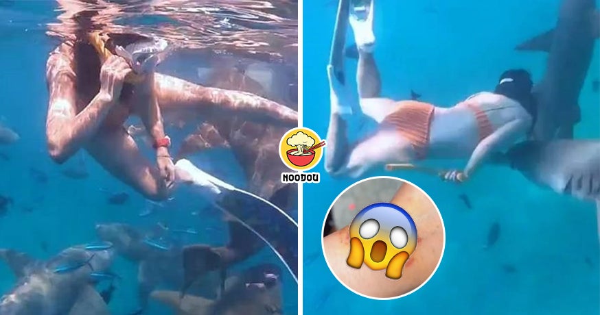 【还好没有咬出血的地方】来月经下海潜水，女网红被鲨鱼咬伤，事后反应让网民无语！