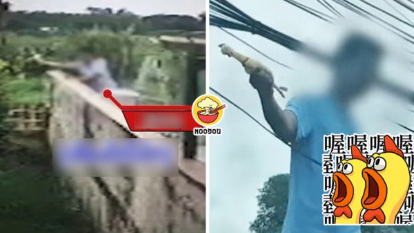 10 Years Chicken Scream Neighbour Ft Img