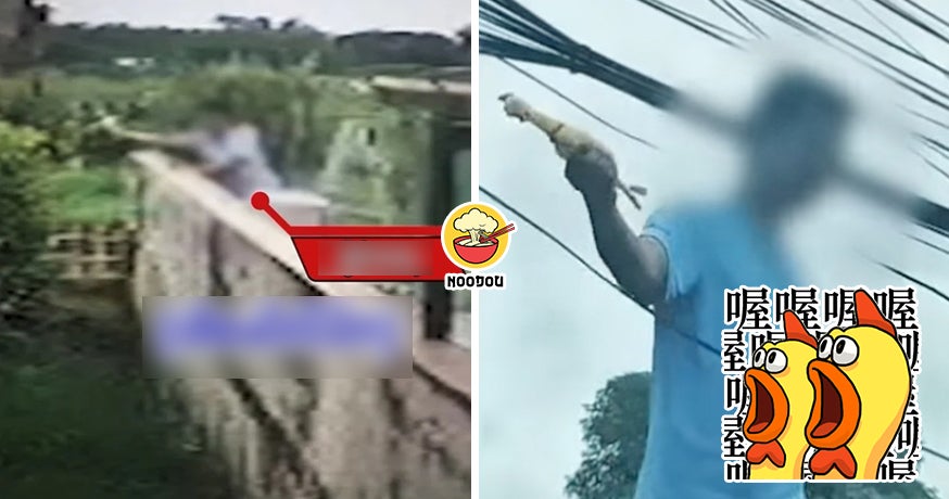 【白天黑夜都有招！】邻居10年来天天狂按“尖叫鸡”，女子崩溃求救！（内附影片）