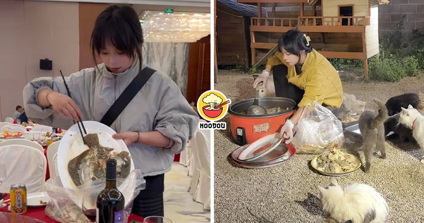 Dabao Leftover 120 Cats Ft Img