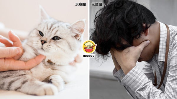 EL Car Boss Mock Ft Img