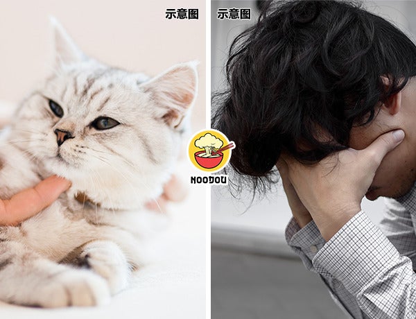 EL Car Boss Mock Ft Img