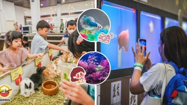 Ivy NOODOU FT Img 1 4