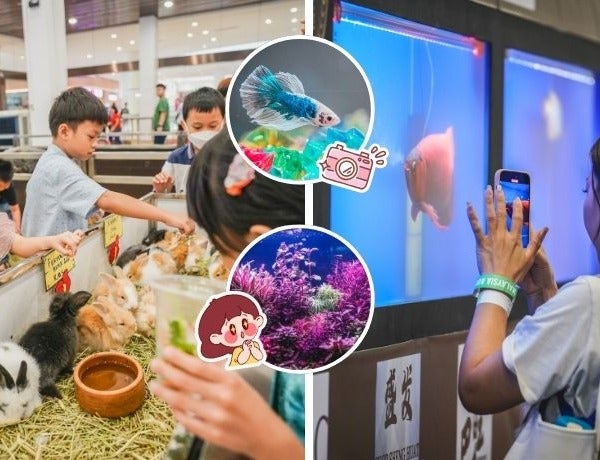 Ivy NOODOU FT Img 1 4