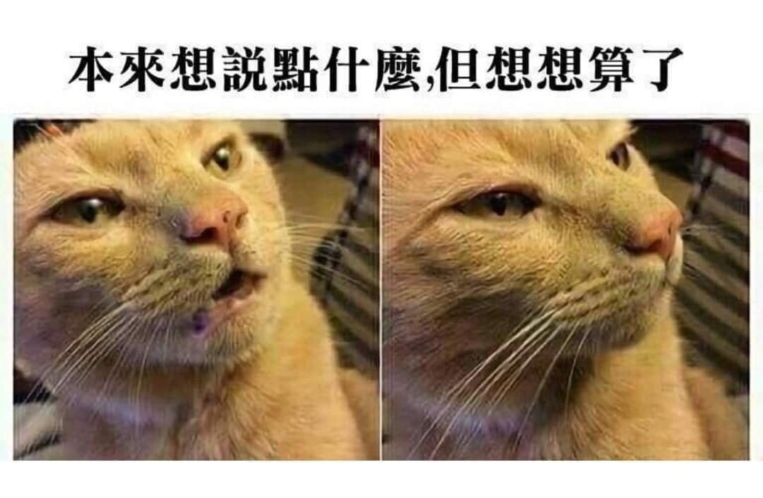 Meme 1