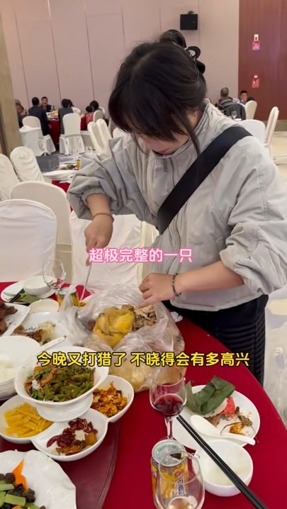 女子打包婚宴剩菜喂养126流浪猫狗 ss1