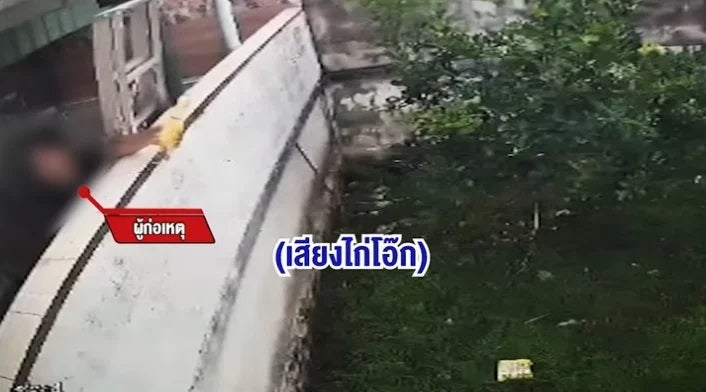 男子10年每天狂按尖叫鸡骚扰女邻居2