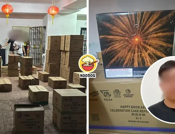 309K Firework Semi D Ft Img