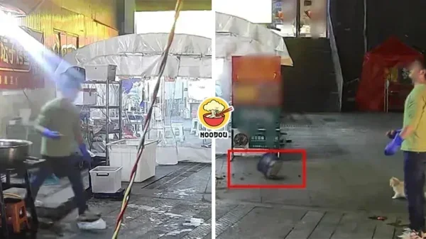 Feed Cat Saved Pot Ft Img