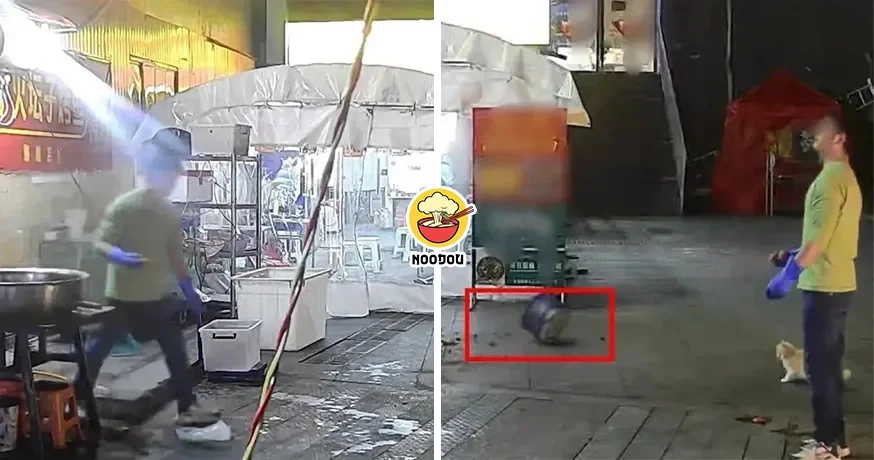 Feed Cat Saved Pot Ft Img